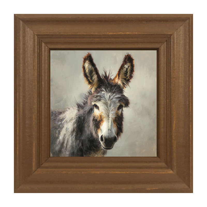 Farm Life Portrait - Donkey Close-up