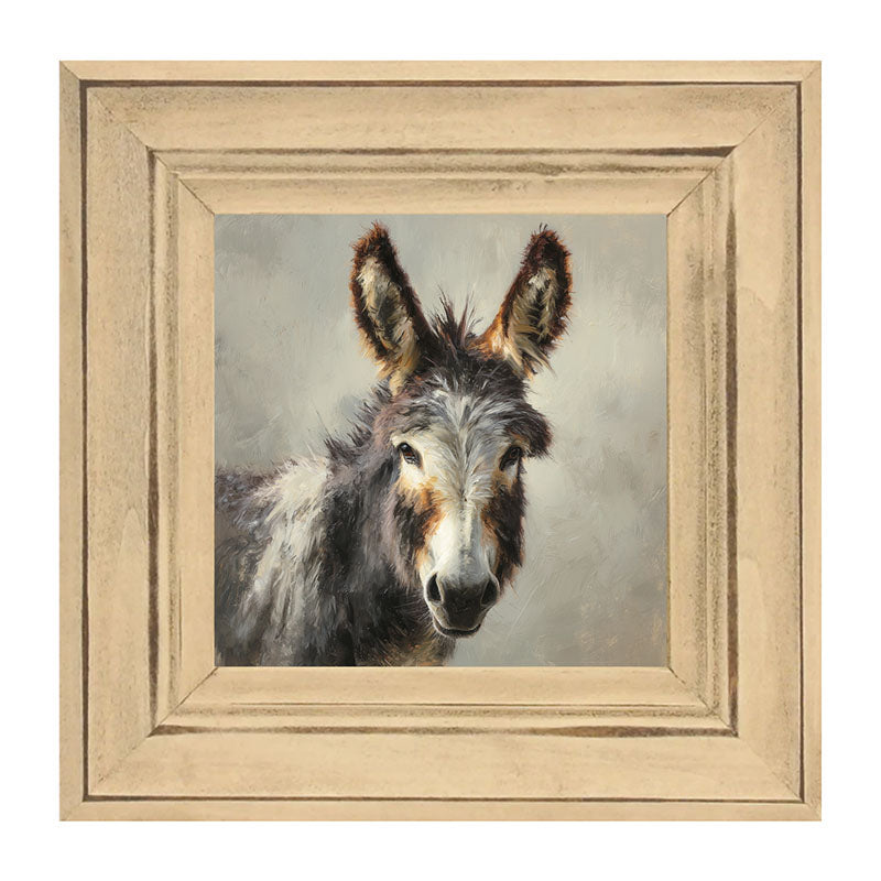 Farm Life Portrait - Donkey Close-up