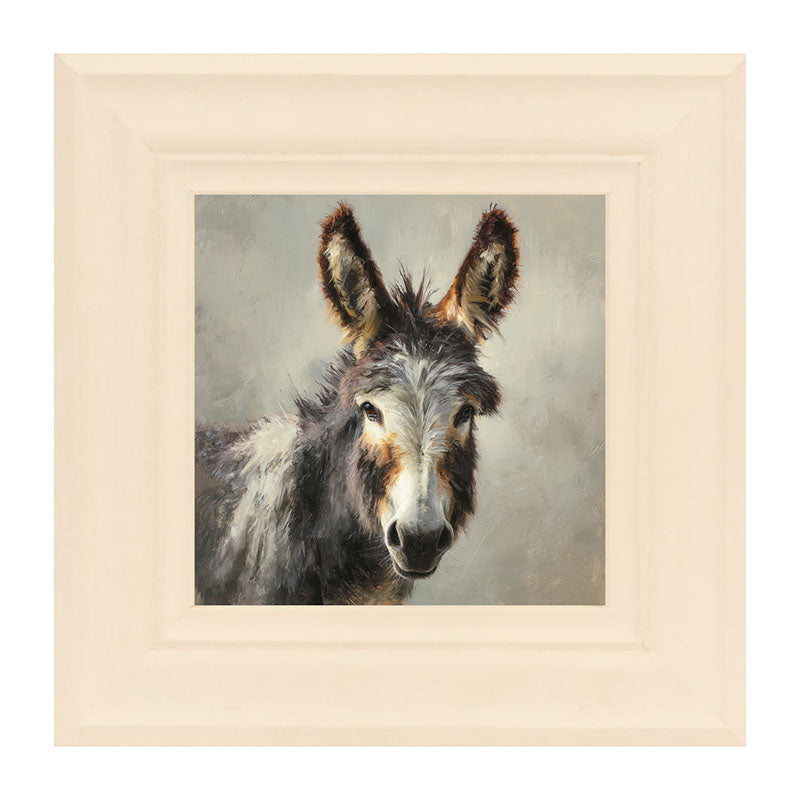 Farm Life Portrait - Donkey Close-up