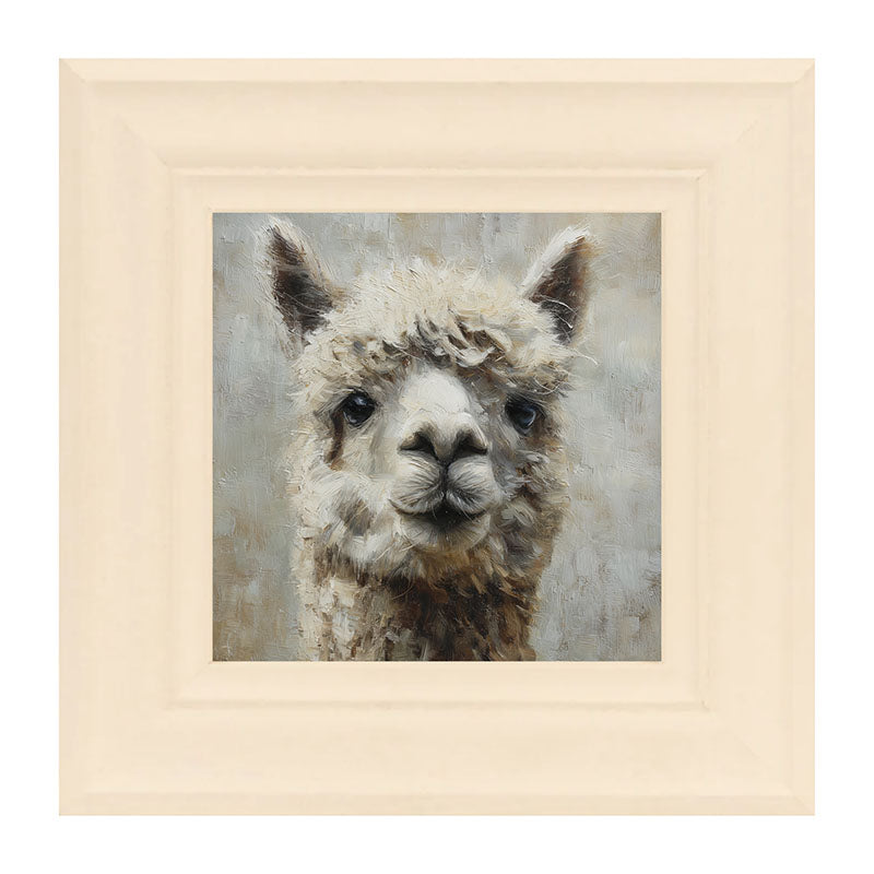 Farm Life Portrait - Alpaca Close-up
