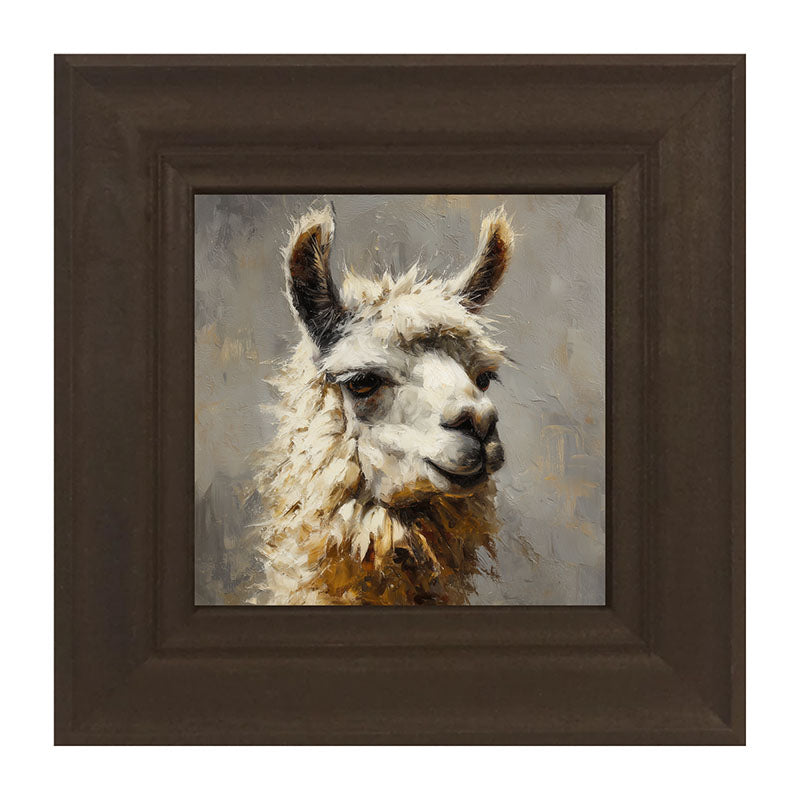 Farm Life Portrait - Llama Close-up