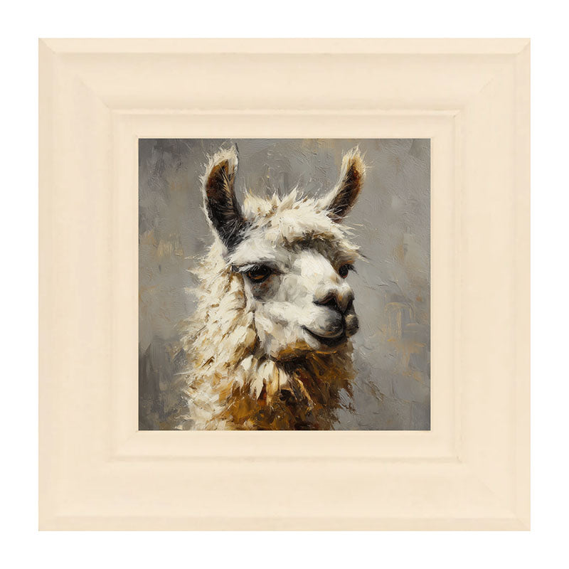 Farm Life Portrait - Llama Close-up