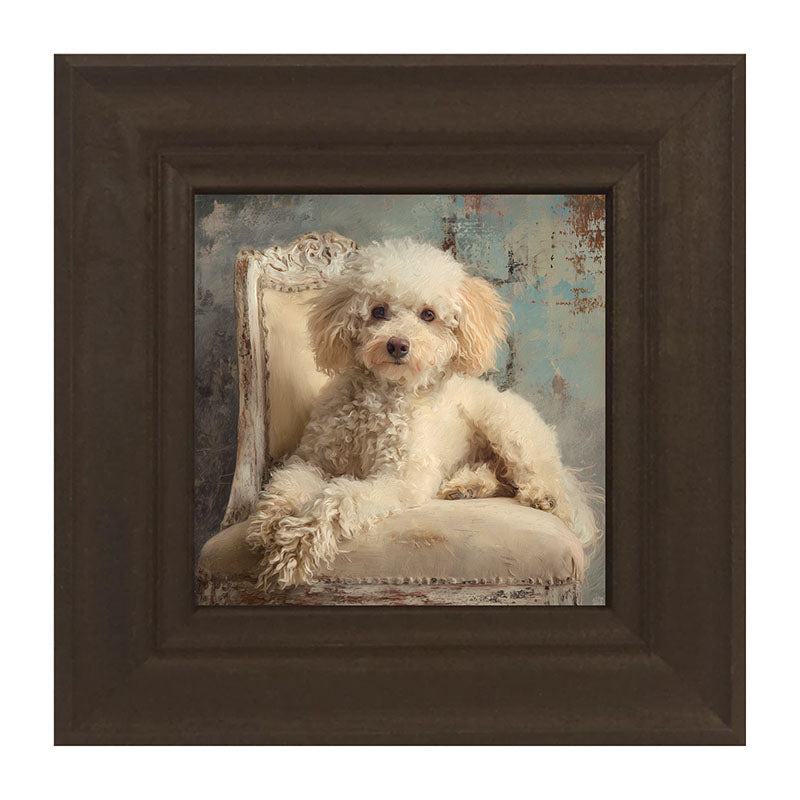 Armchair with Toy Poodle Dog