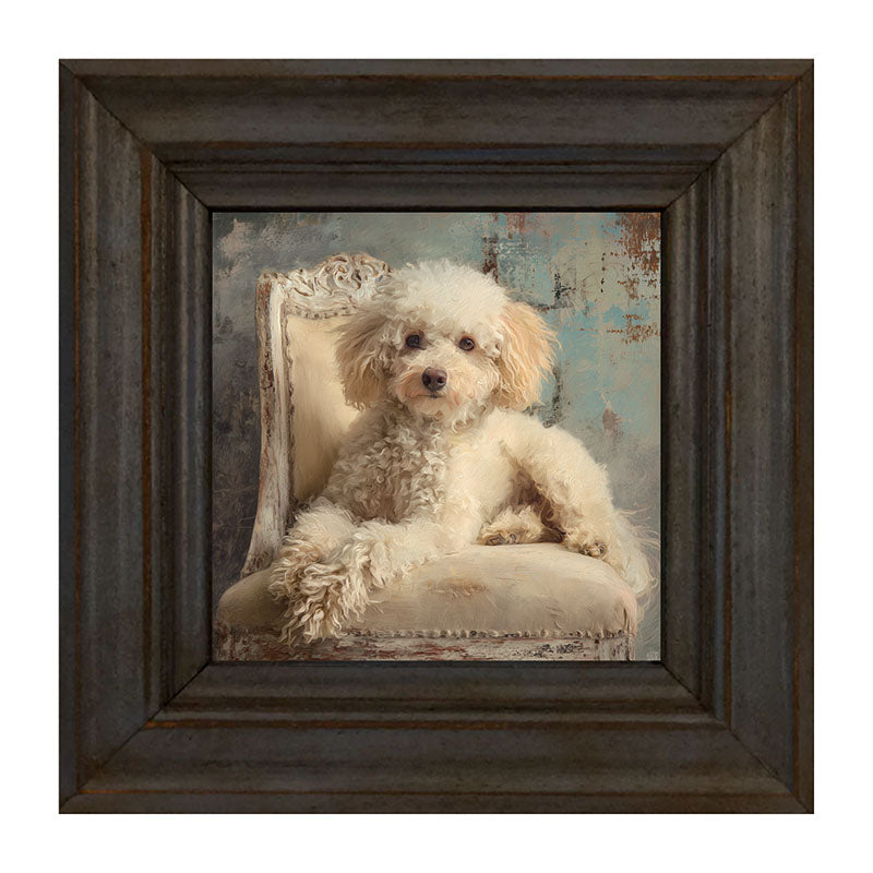 Armchair with Toy Poodle Dog