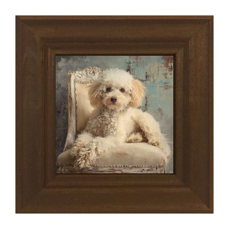 Armchair with Toy Poodle Dog