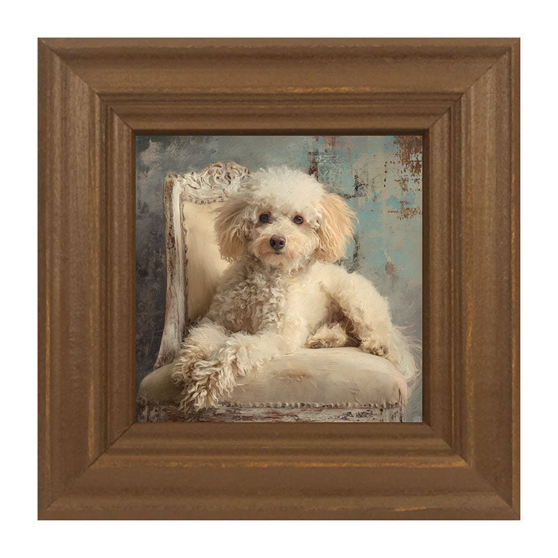Armchair with Toy Poodle Dog