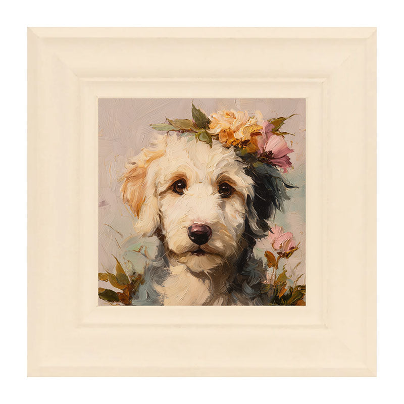 Spring Season White Labradoodle