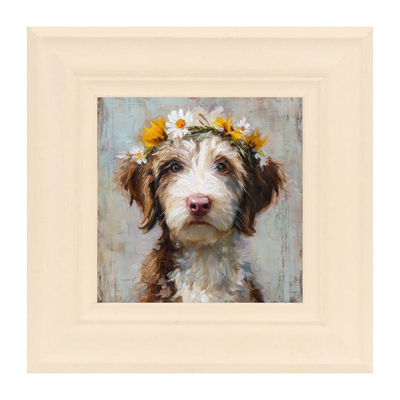 Spring Season Brown and White Labradoodle