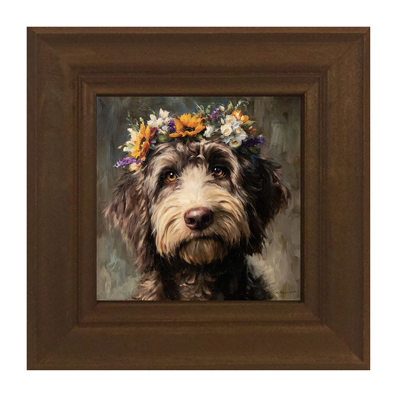 Spring Season Black Labradoodle