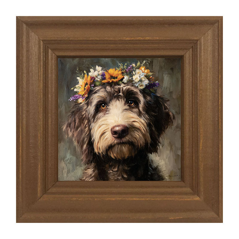 Spring Season Black Labradoodle
