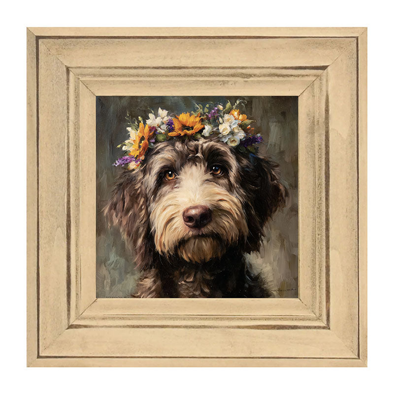 Spring Season Black Labradoodle