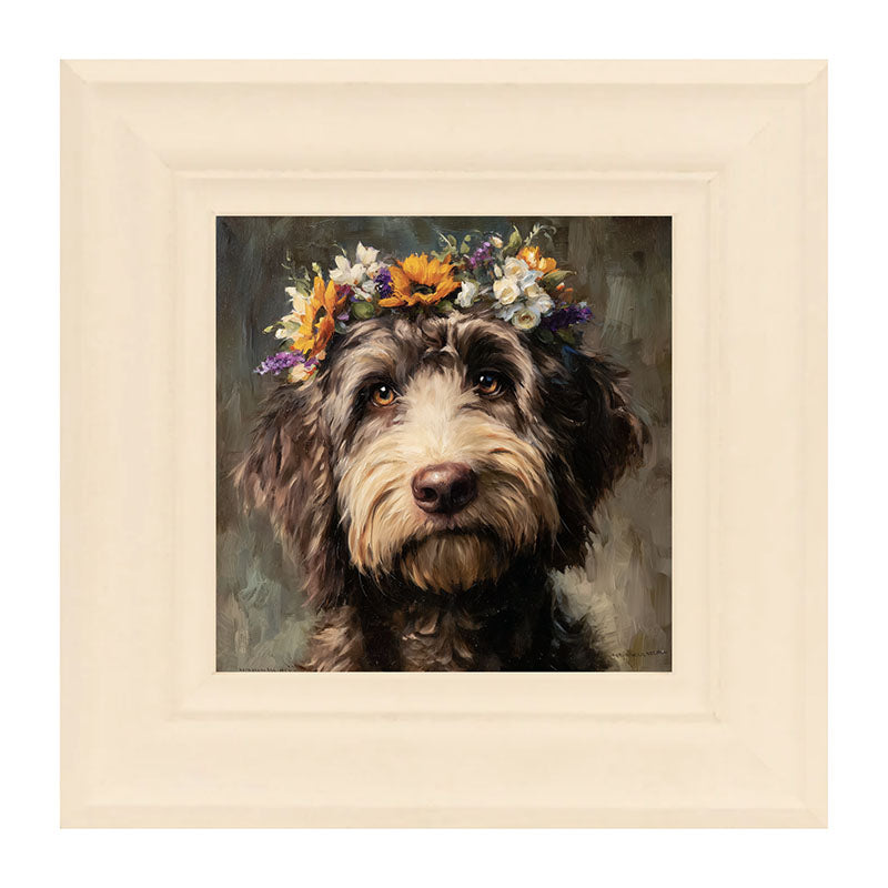 Spring Season Black Labradoodle
