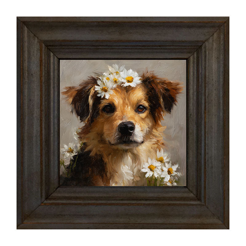 Spring Season Tan Dog