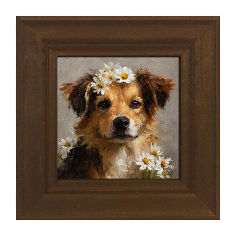 Spring Season Tan Dog