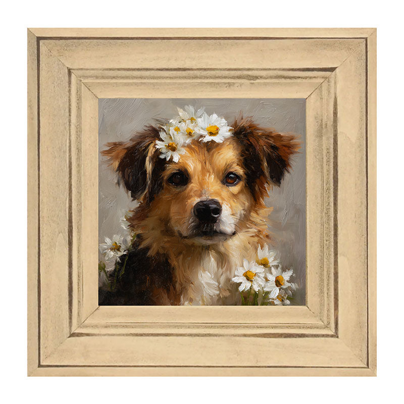 Spring Season Tan Dog