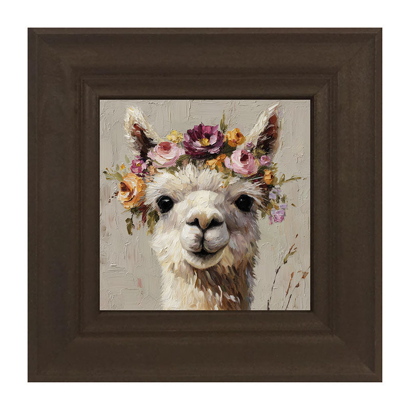 Spring Season Alpaca