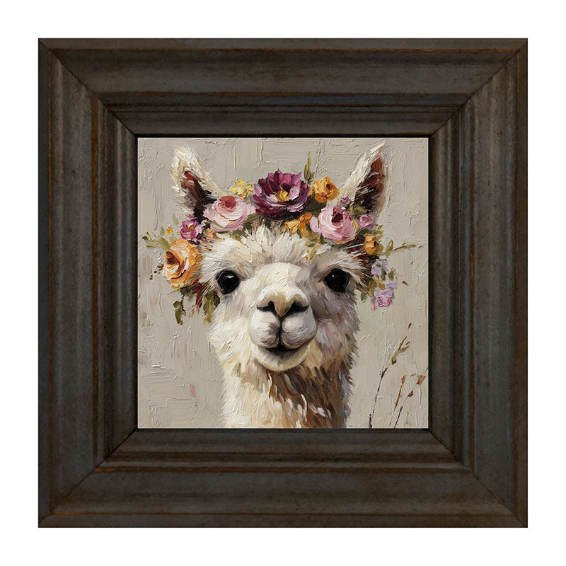 Spring Season Alpaca