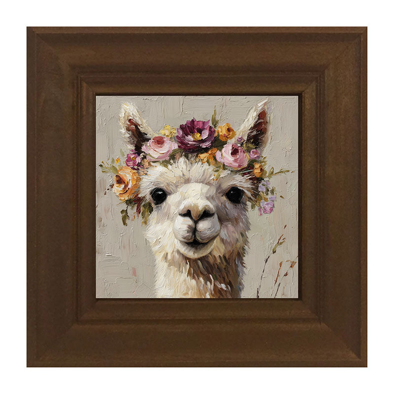 Spring Season Alpaca