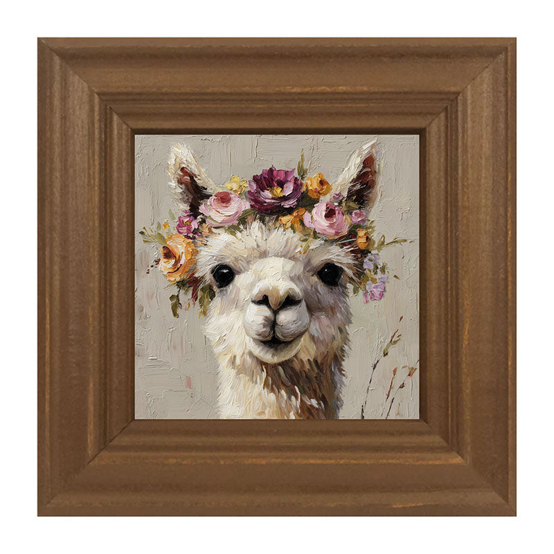 Spring Season Alpaca