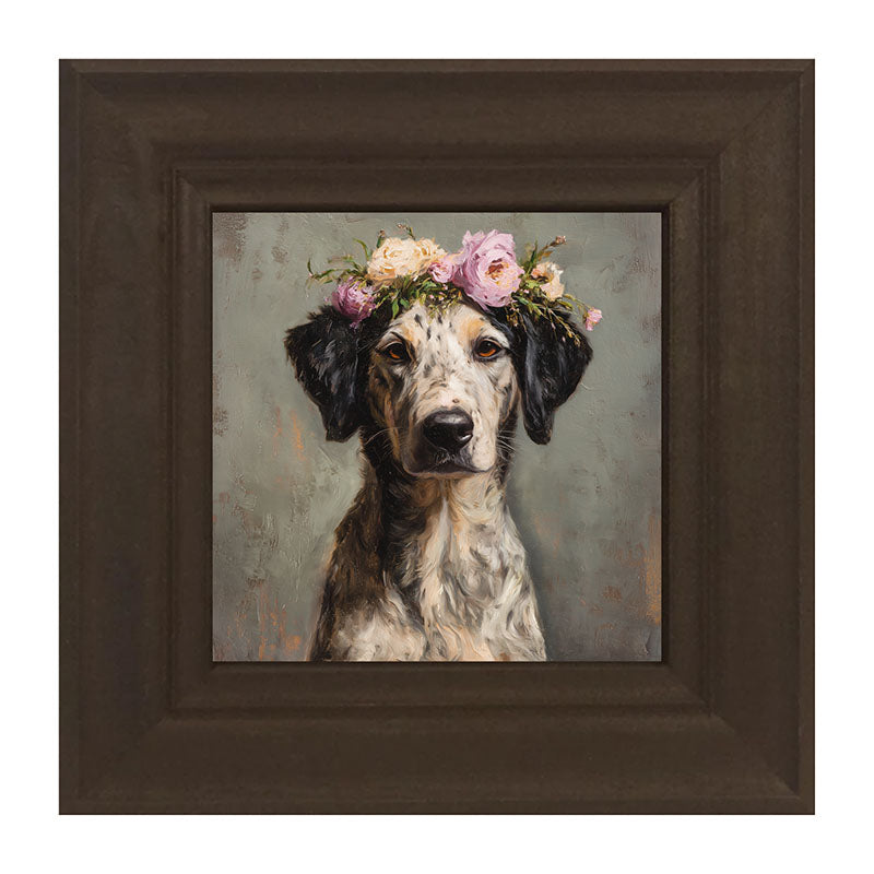Spring Season Black-Eared Dog