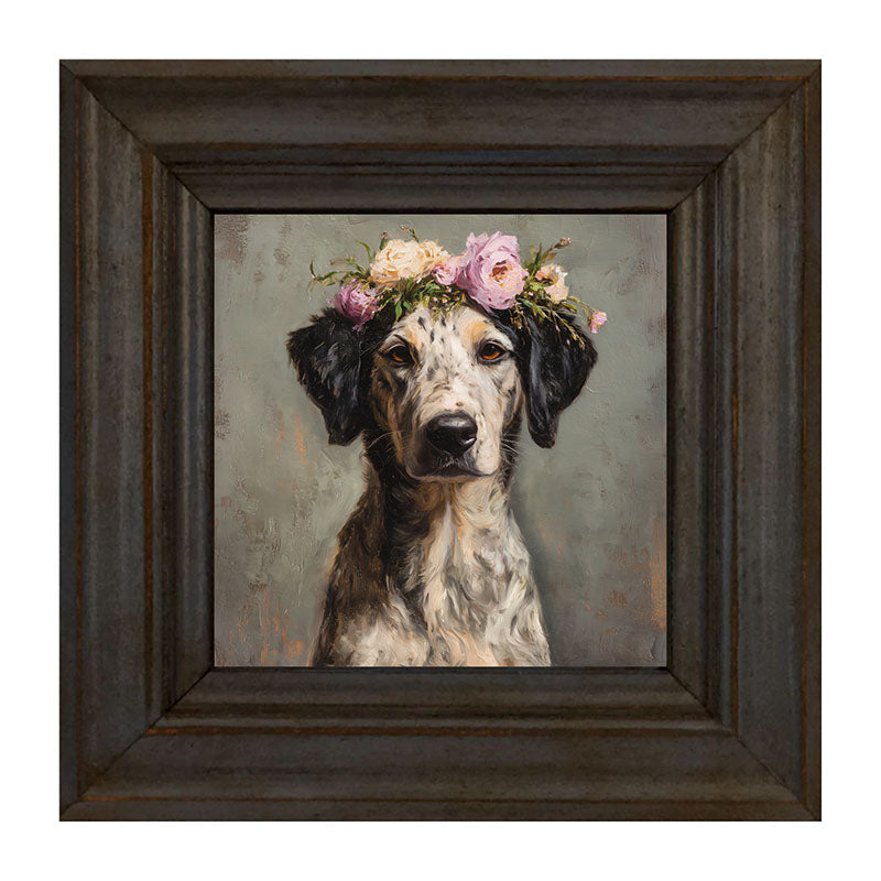 Spring Season Black-Eared Dog
