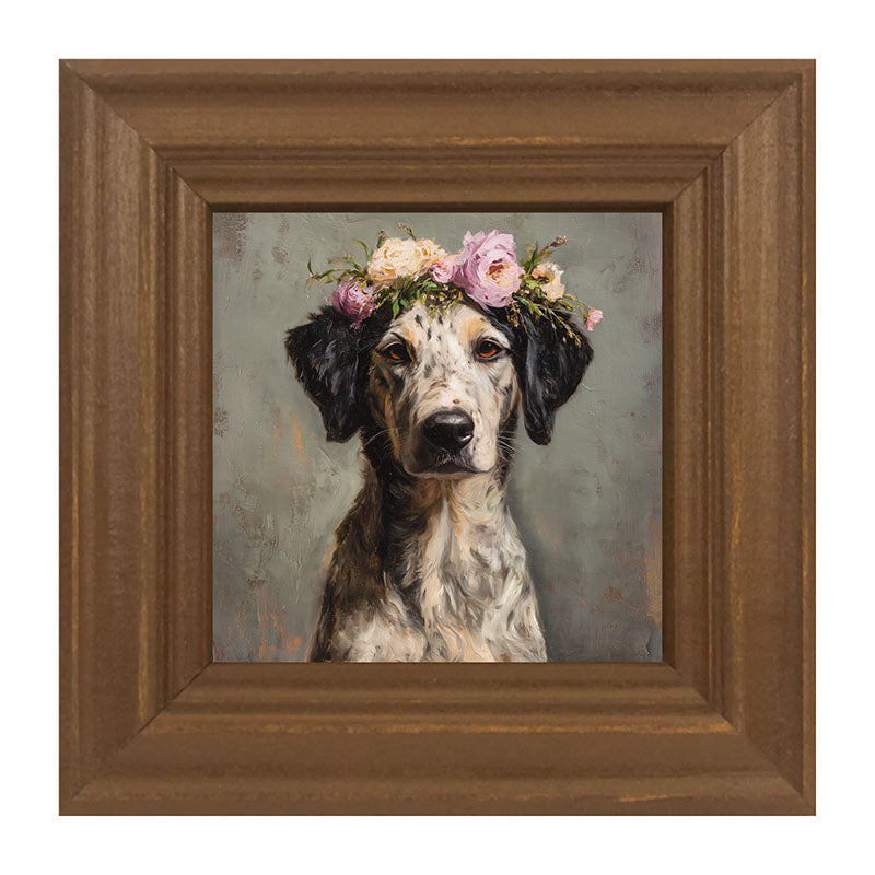 Spring Season Black-Eared Dog