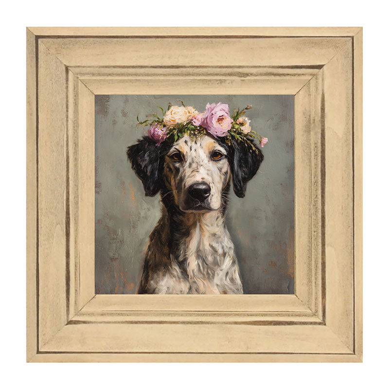 Spring Season Black-Eared Dog