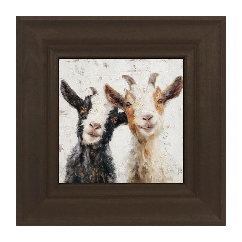 Animal Buddies - Posing Goats