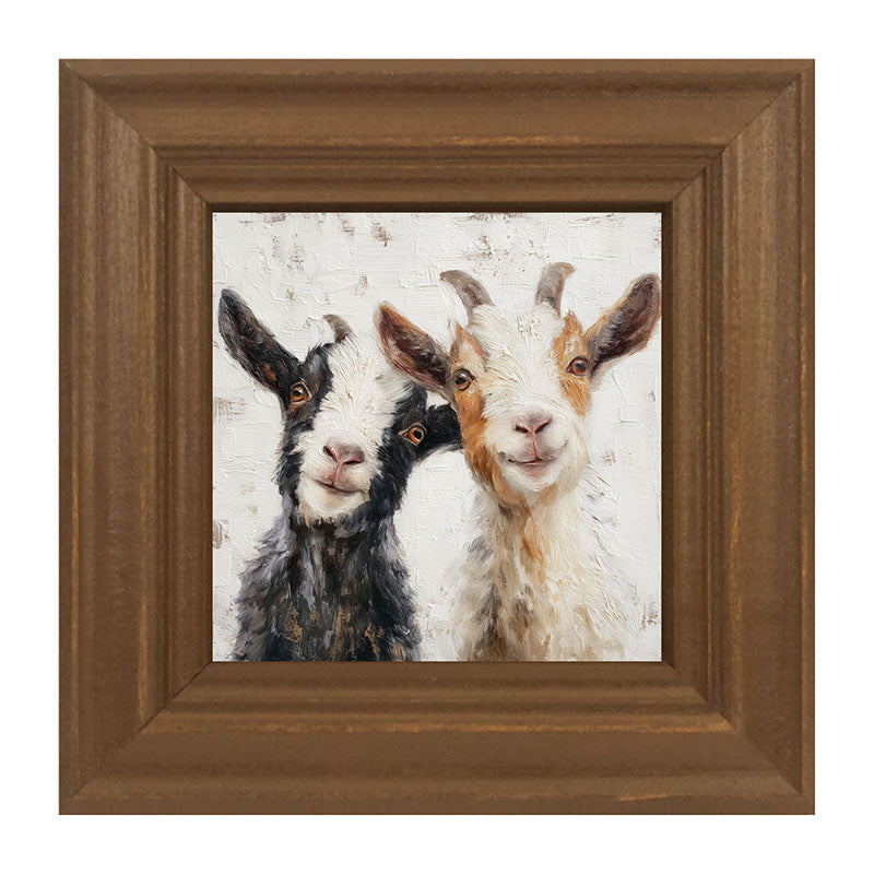 Animal Buddies - Posing Goats