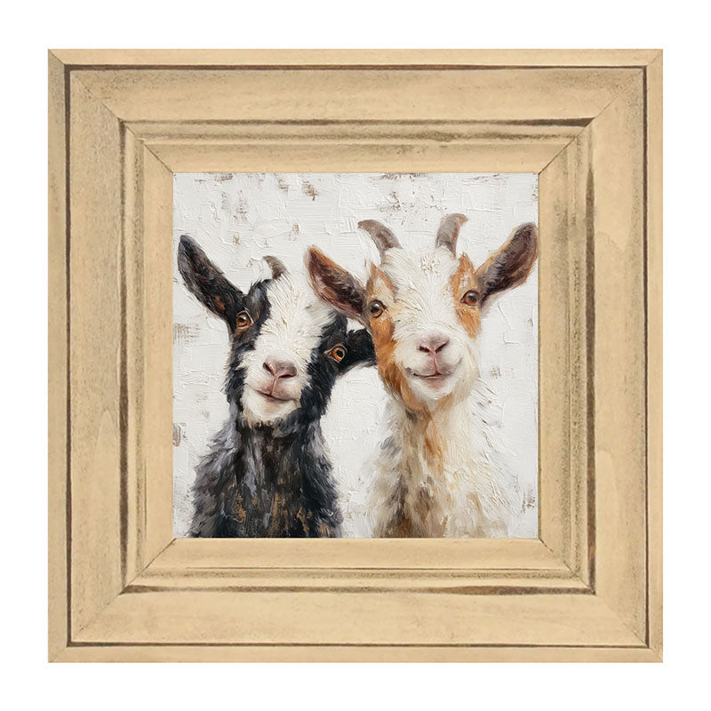 Animal Buddies - Posing Goats