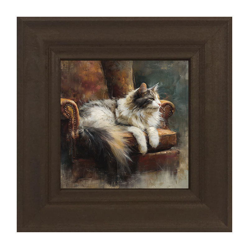 Armchair with Long Haired Cat