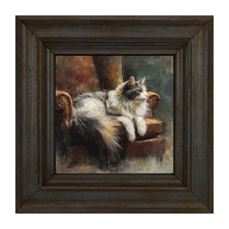 Armchair with Long Haired Cat