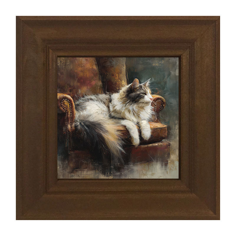 Armchair with Long Haired Cat