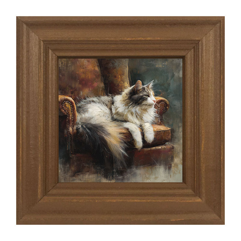 Armchair with Long Haired Cat