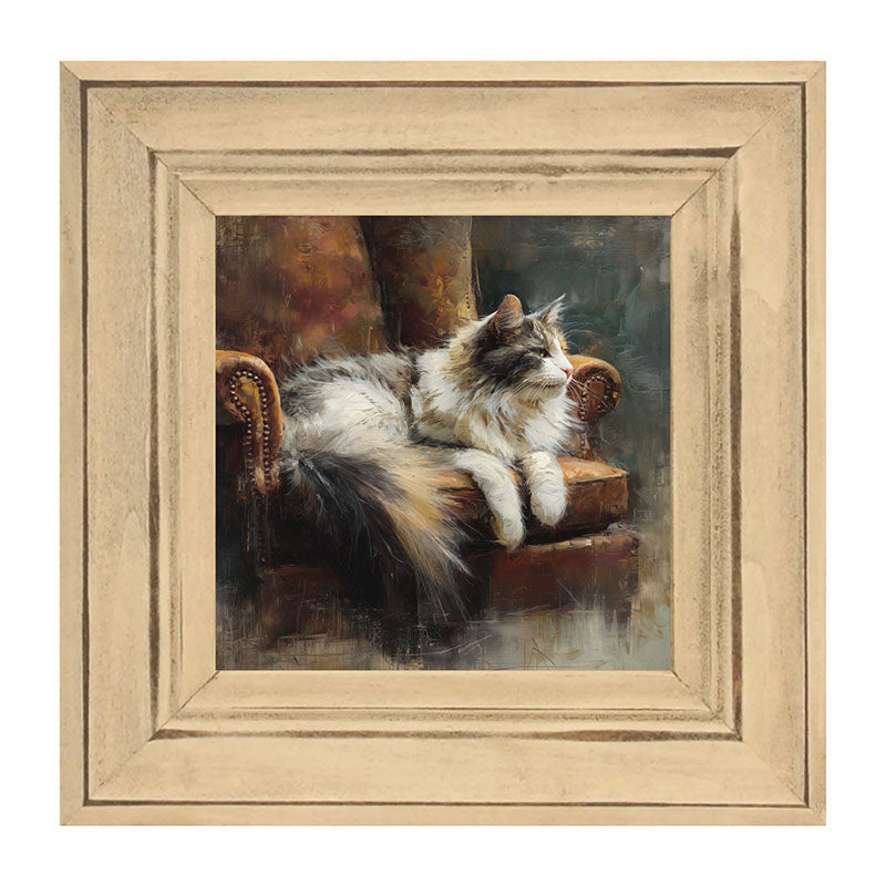 Armchair with Long Haired Cat