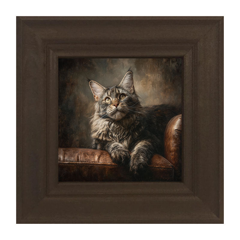 Armchair with Maine Coon Cat