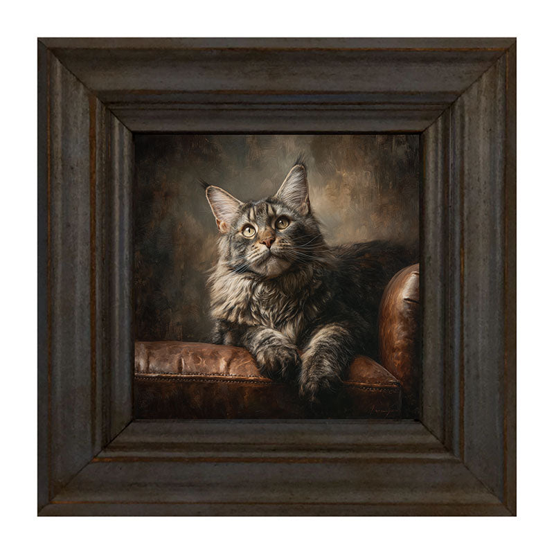 Armchair with Maine Coon Cat