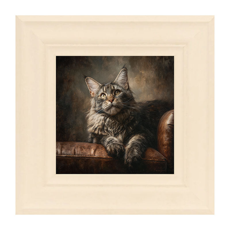 Armchair with Maine Coon Cat