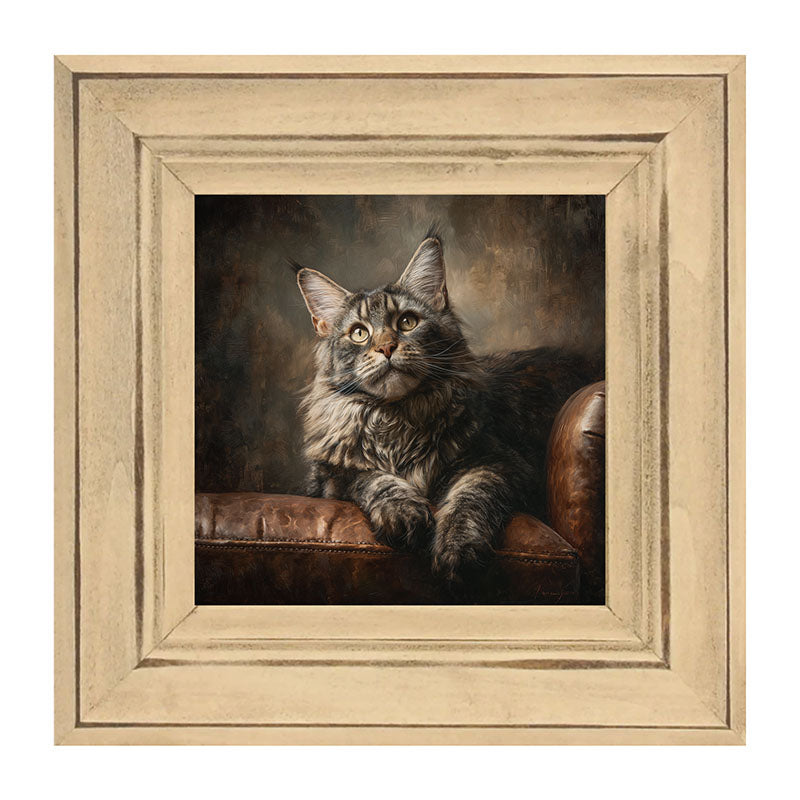 Armchair with Maine Coon Cat