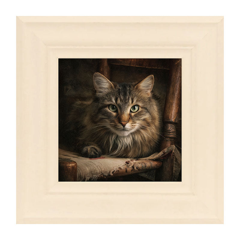 Armchair with Norwegian Forest Cat