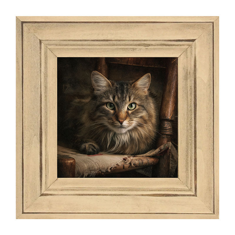 Armchair with Norwegian Forest Cat
