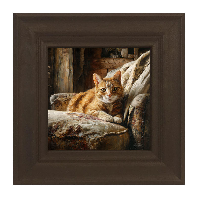Armchair with Orange Tabby Cat