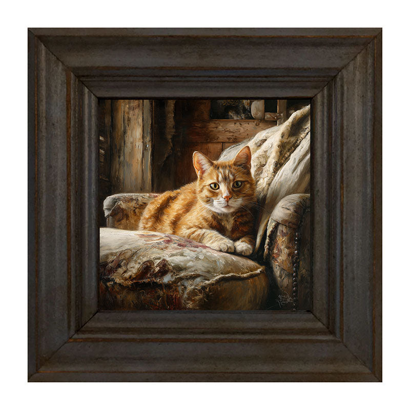 Armchair with Orange Tabby Cat