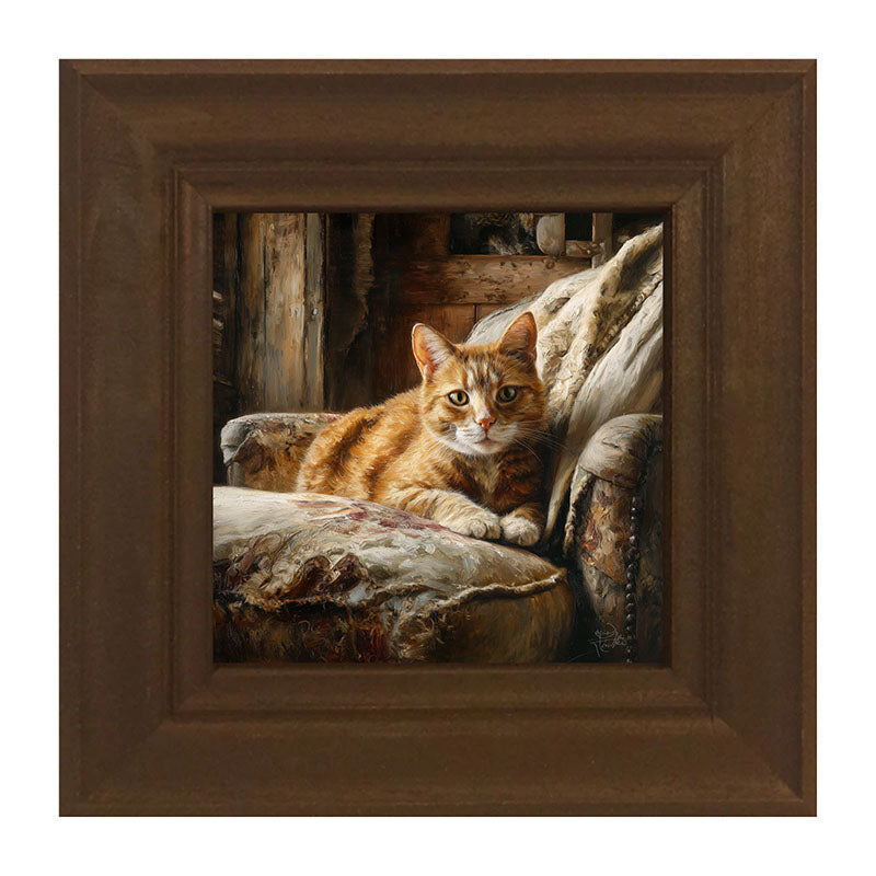 Armchair with Orange Tabby Cat