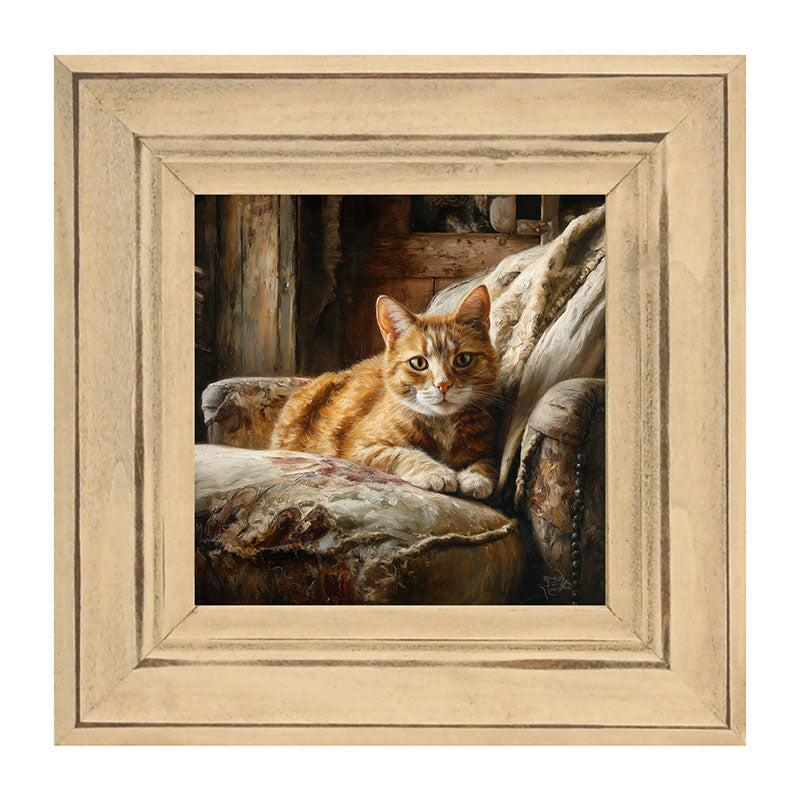 Armchair with Orange Tabby Cat
