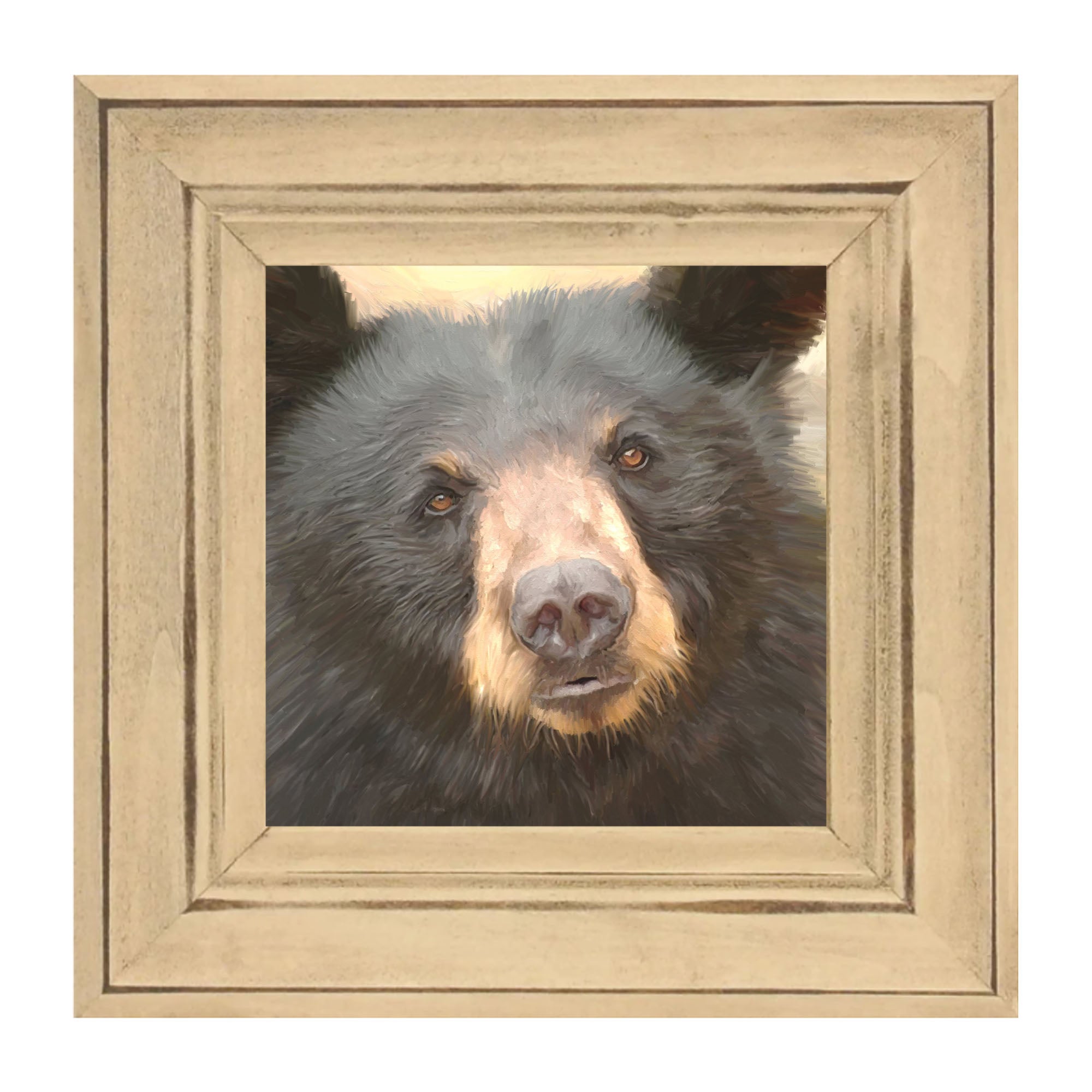 Black Bear