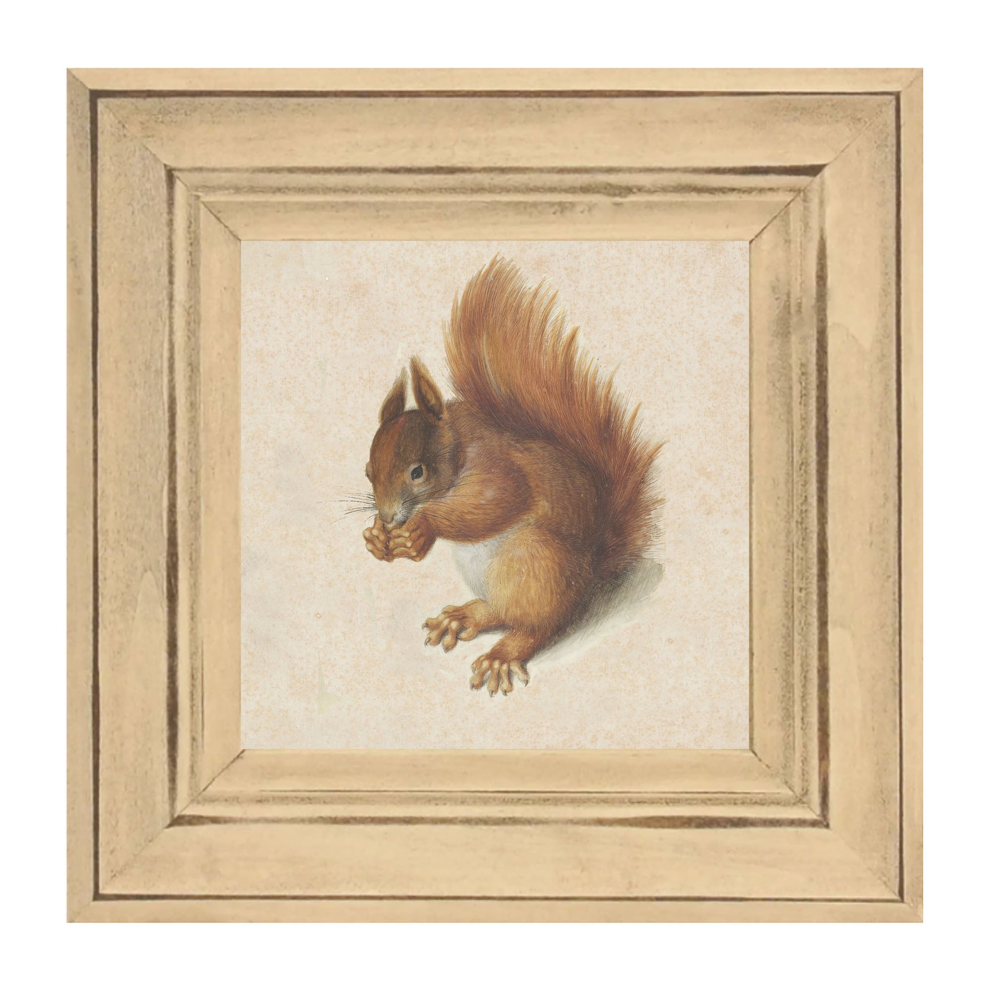 Vintage Squirrel