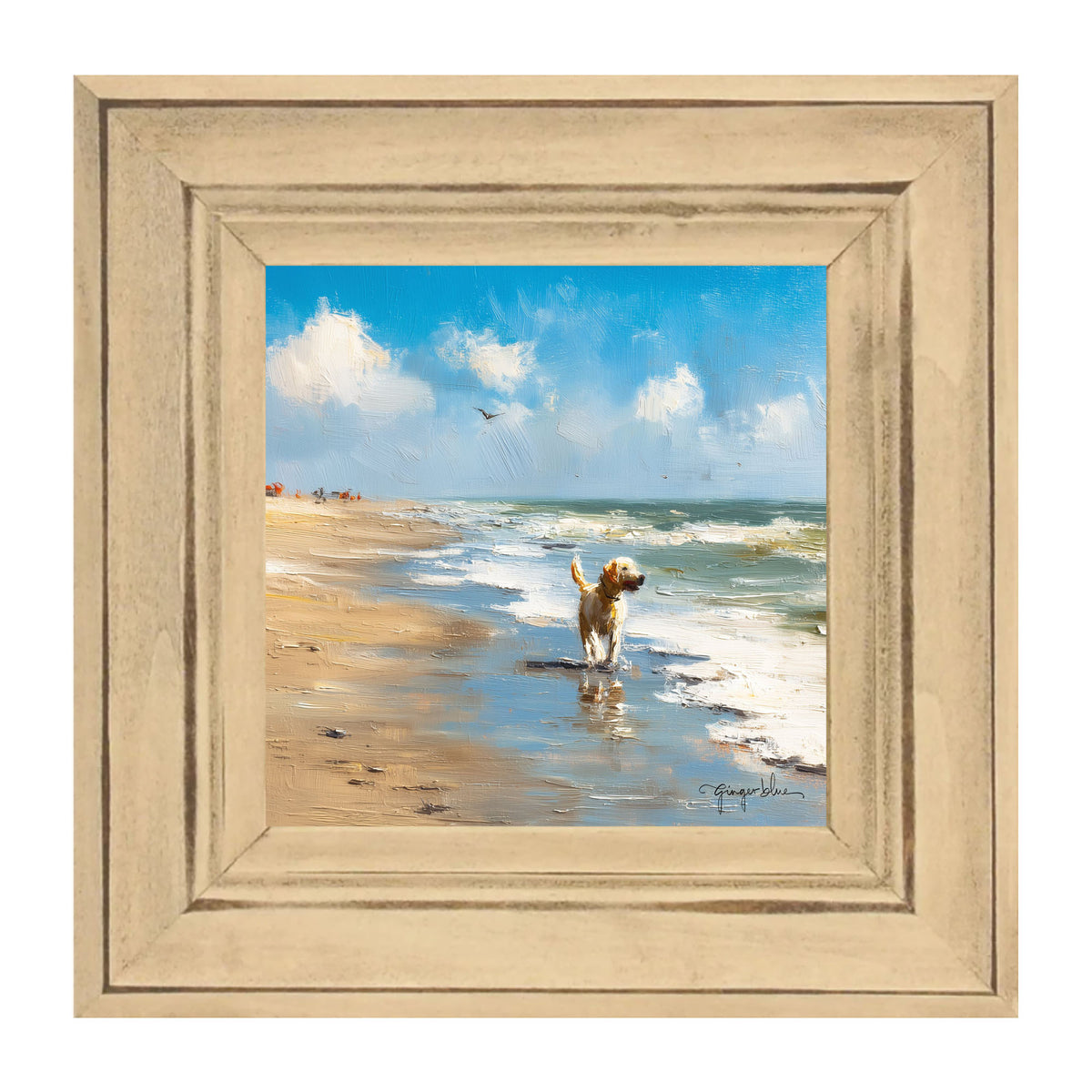 Dog at the Beach