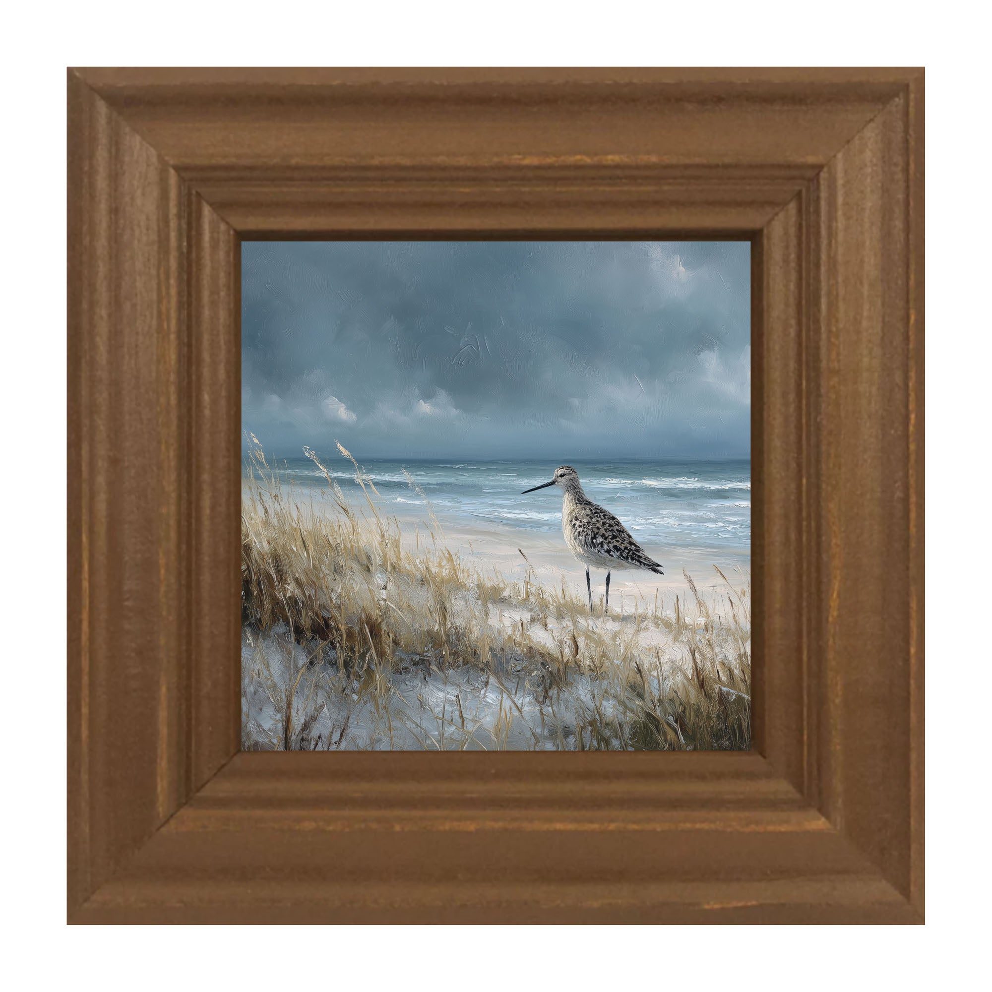 Ocean Island - Bird on Beach