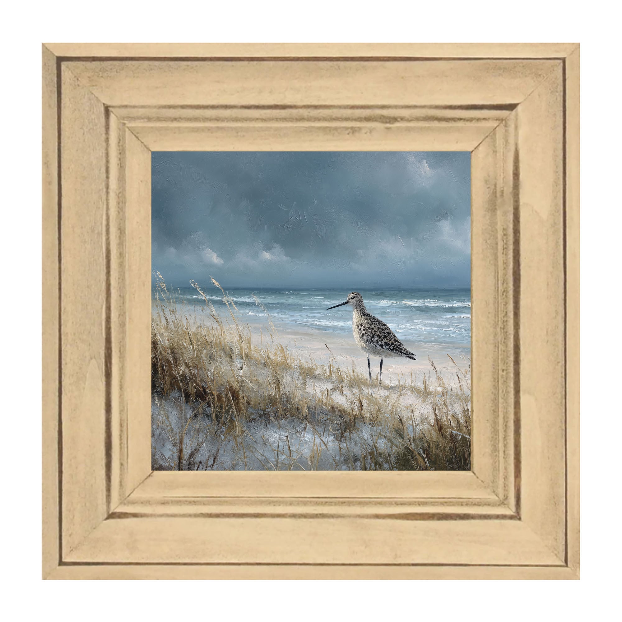 Ocean Island - Bird on Beach